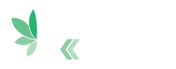 Rx Sports_logo_primary_white